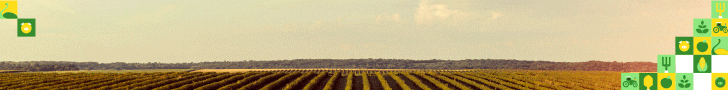 Banner Add